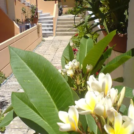 Leonidas Platanias (Crete)